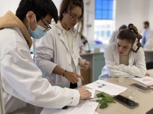 Medicine foundation programme UFP