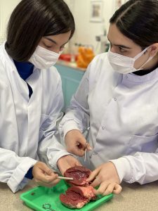 Medicine foundation programme UFP